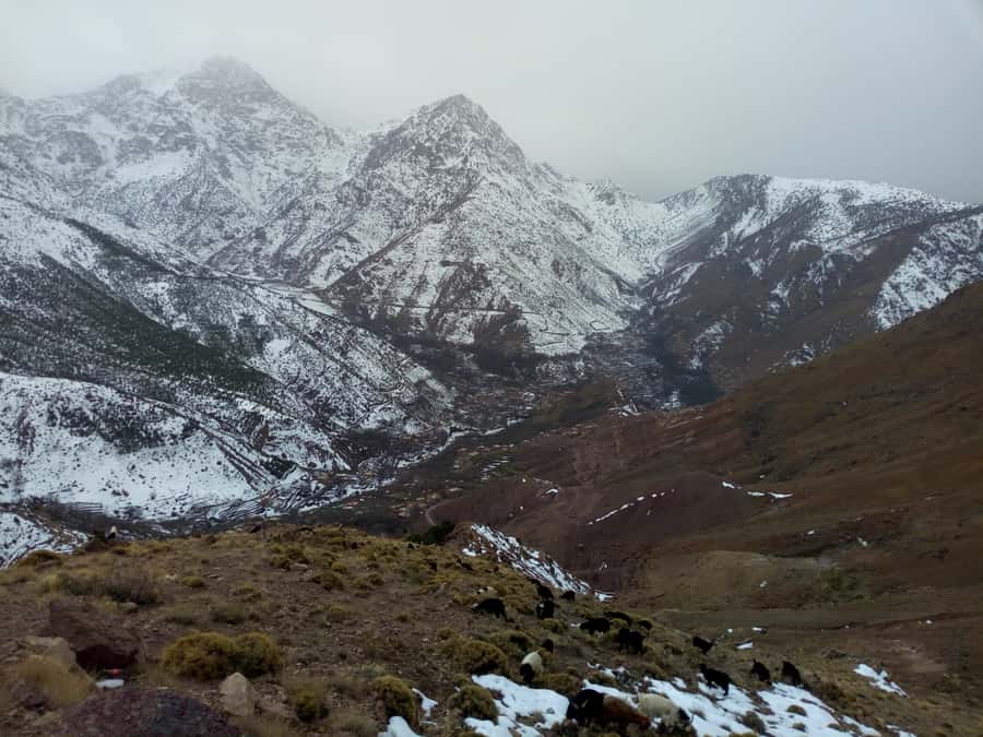 Ourika valley And Oulmes River day trip & Camel all Included - A quick reality check on time, roads, and walking