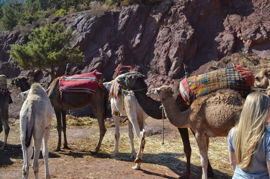 Ourika valley And Oulmes River day trip & Camel all Included - Asni and High Atlas vistas: Toubkal in the distance and Tahanaout routing