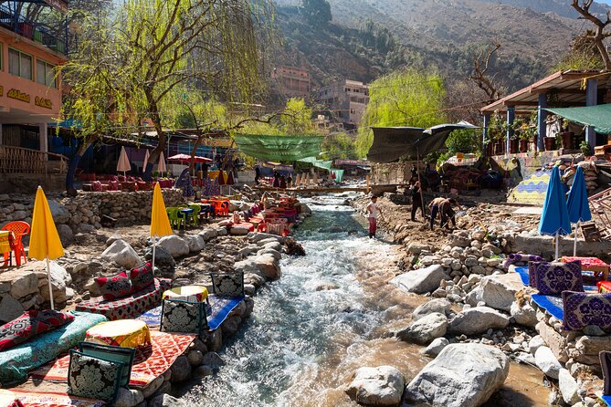 Ourika Valley and the Atlas Mountains in Private - Key Highlights You’ll Actually Care About