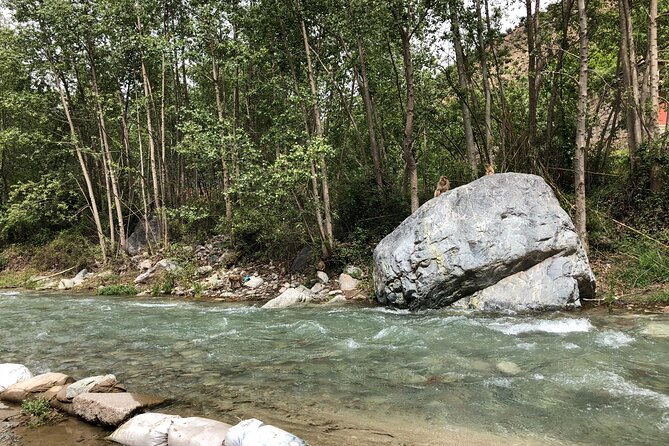 Ourika Valley and the Atlas Mountains in Private - The Art Stop: Anima Andre Heller Garden (And Why It’s Not Just a “Extra”)