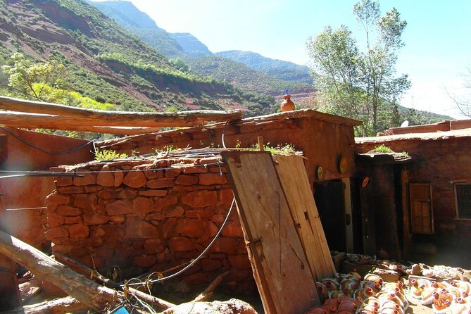Ourika Valley and the Berber Village Day Trip from Marrakech - Lunch by the river: choose packed or café stops, but don’t leave it to chance