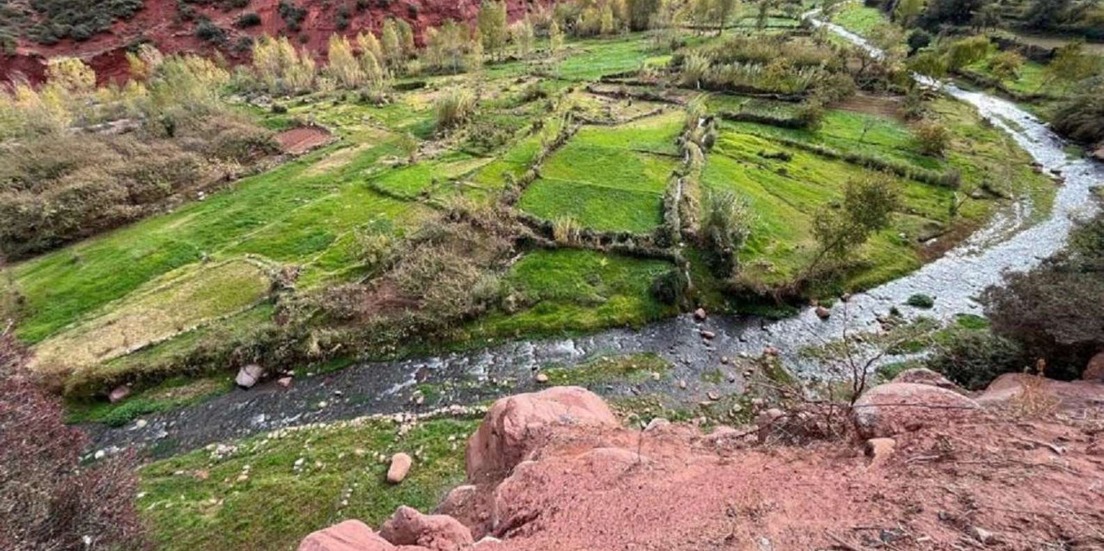 Ourika Valley, Atlas Mountain, Waterfalls - The People Factor: Guides and Drivers Make or Break the Day