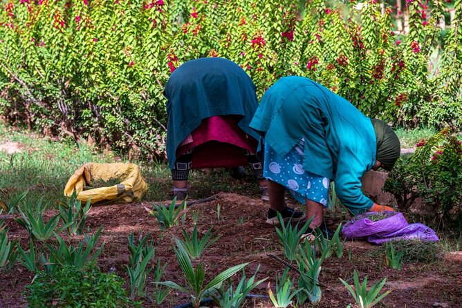 Ourika valley & Atlas Mountains - Leaving Marrakech: morning drive, villages, and photo freedom