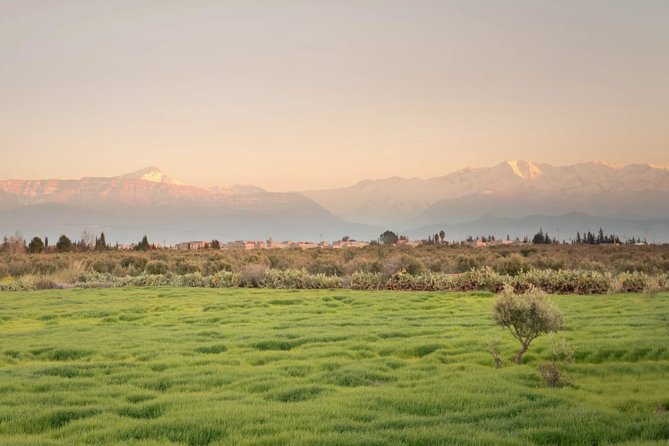 Ourika Valley : Atlas Mountains Day Trip from Marrakech - Marrakech to the Atlas: what this Ourika day trip is really like
