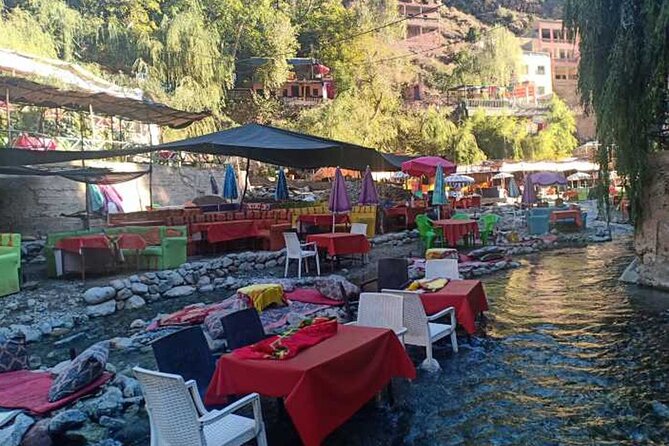 Ourika Valley & Atlas Mountains DayTrip From Marrakech With Guide - Price and value: is $46.46 a fair deal?
