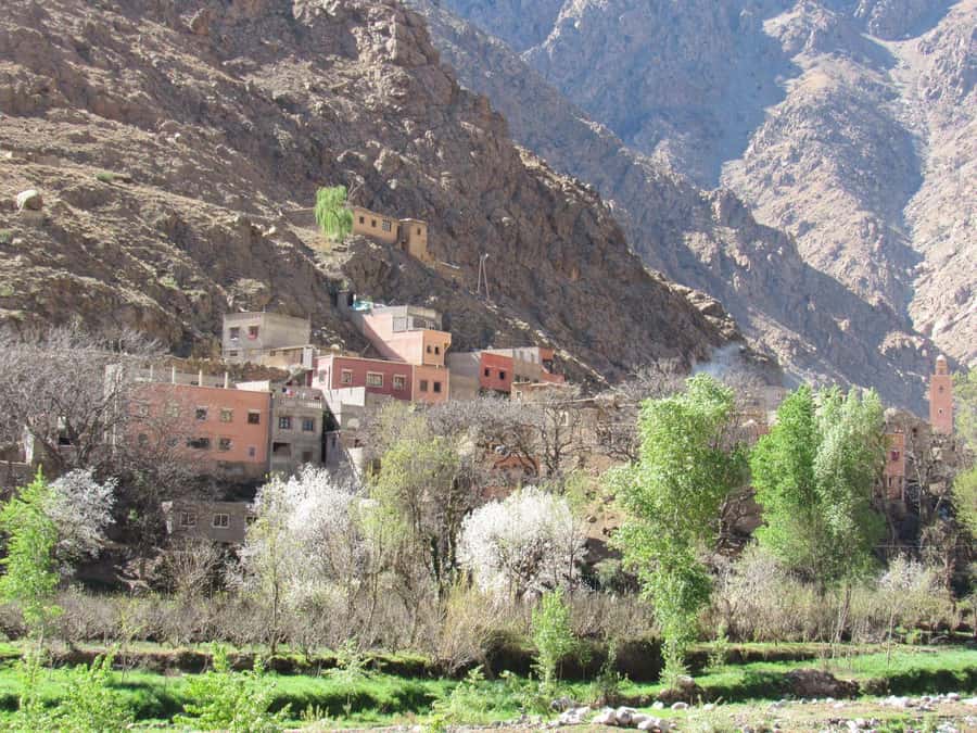 Ourika valley & atlas mountains guided tour from Marrakech - From Marrakech to Ourika: why this day trip feels like a reset
