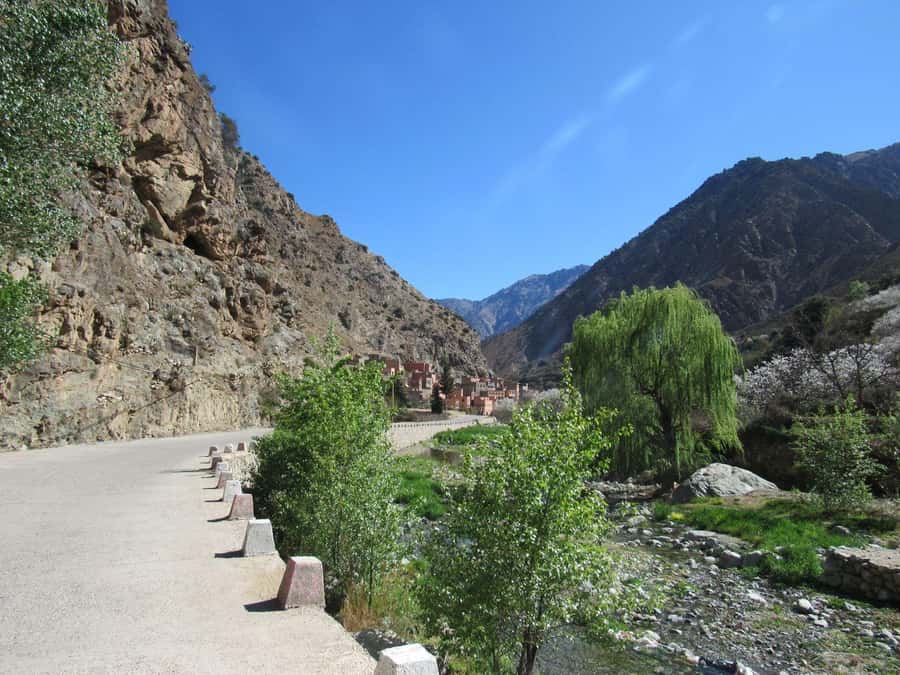 Ourika valley & atlas mountains guided tour from Marrakech - Women’s argan oil cooperative: what you learn, and why it matters