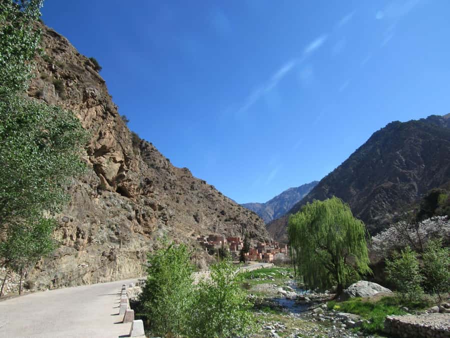 Ourika valley & atlas mountains guided tour from Marrakech - The AC van, photo stops, and drivers who actually keep things moving