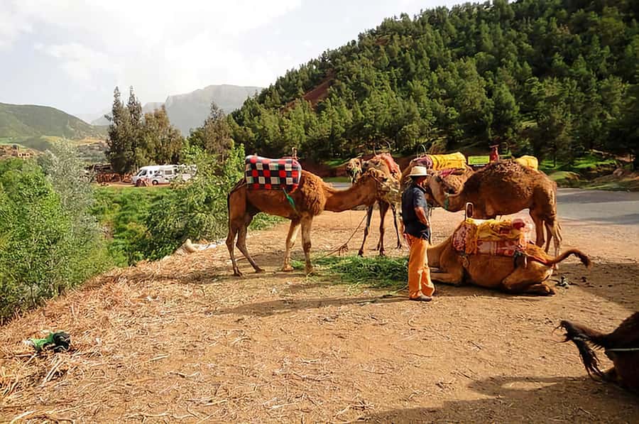 Ourika Valley, Atlas Mountains, Waterfalls & Guided Tour - Who This Tour Suits Best