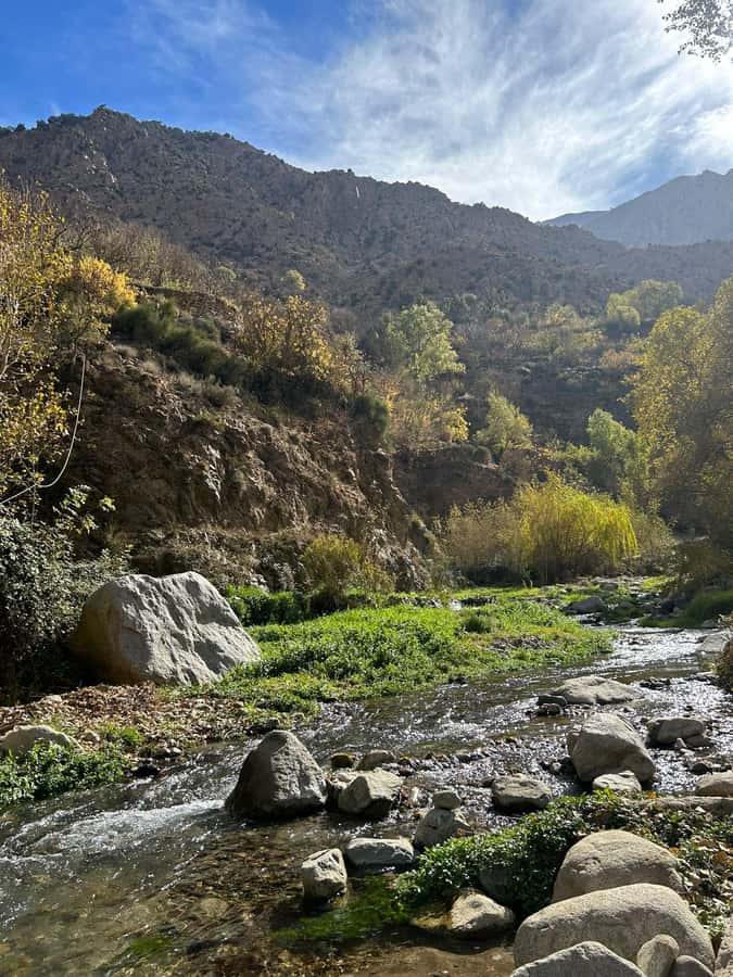 Ourika Valley ,Berber villages ,Atlas Mountains + Lunch - Leaving Marrakech: the drive that sets the mood