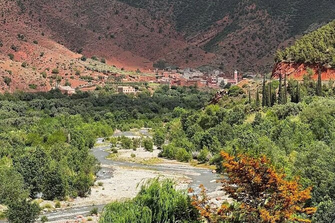 Ourika Valley Day Tour from Marrakech - From Jemaa el-Fna to Ourika Valley: the easy start