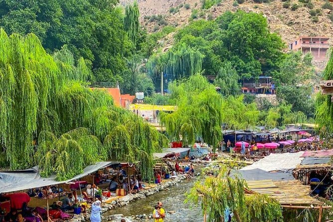 Ourika Valley Day Tour from Marrakech - Berber village and craft stops: what to expect beyond photos