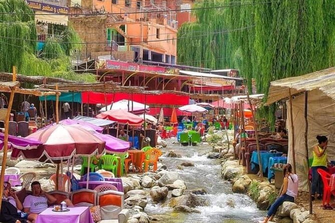 Ourika Valley Day Trip From Marrakech - Ourika Valley Marrakech - Berber House Visit and Mint Tea: The Cultural Part That Feels Personal