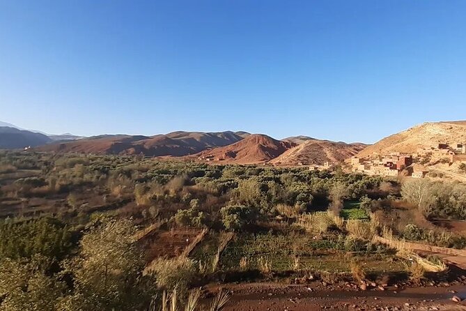 Ourika Valley Day Trip from Marrakech with Groups - The 9:00 a.m. Minivan Route: Easy Start, Long-ish Day