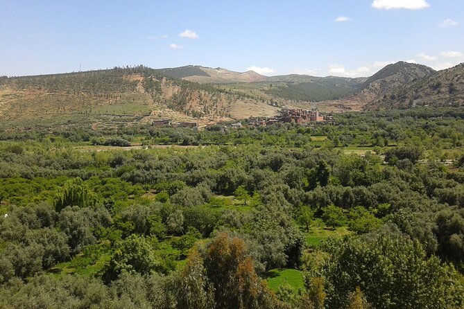 Ourika Valley Day trip Marrakech Morocco - What the Day Feels Like Hour by Hour
