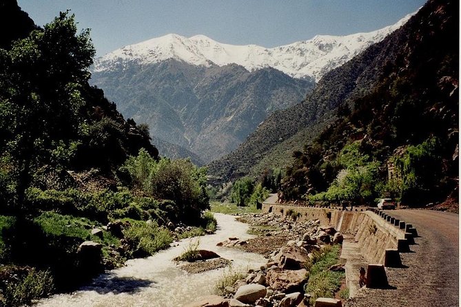 Ourika Valley Full-Day Trip from Marrakech - Group Size, Language, and Driver Flexibility