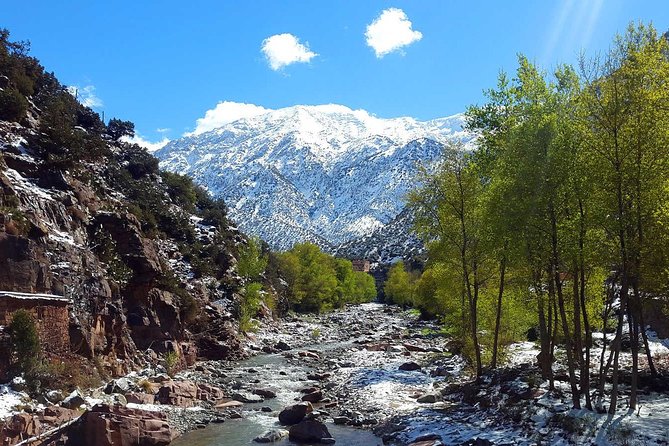 Ourika Valley - Private Day trip from Marrakech - Ourika Valley Village Life: Where the Day Begins