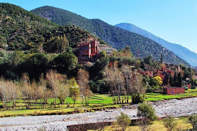 Ourika Valley - Private Day trip from Marrakech - Pottery Atelier Stop: Craft That’s Worth Watching Up Close
