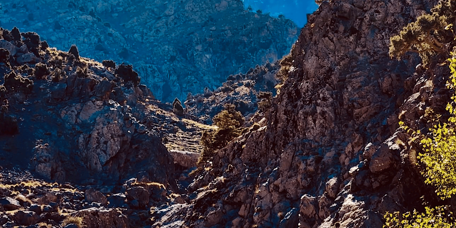 Ourika Valley: Quad Biking,Camel Riding,and Hiking Adventure - Lunch by the river: where the scenery is included, but not the meal