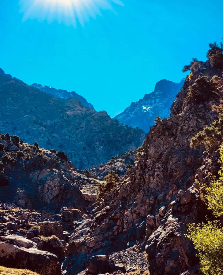 Ourika Valley: Quad Biking,Camel Riding,and Hiking Adventure - Quad biking: the dust-and-grins portion of the day