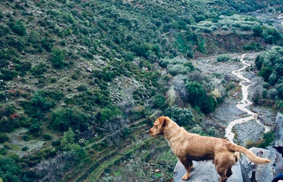 Ourika Valley: Quad Biking,Camel Riding,and Hiking Adventure - Camel ride timing: fun, but keep expectations realistic