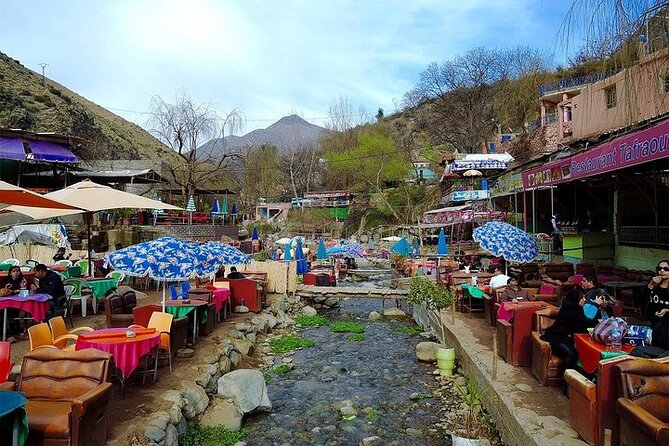Ourika Valley Waterfalls - Vallée De L Ourika - Ourika Excursion - Key Highlights You’ll Care About