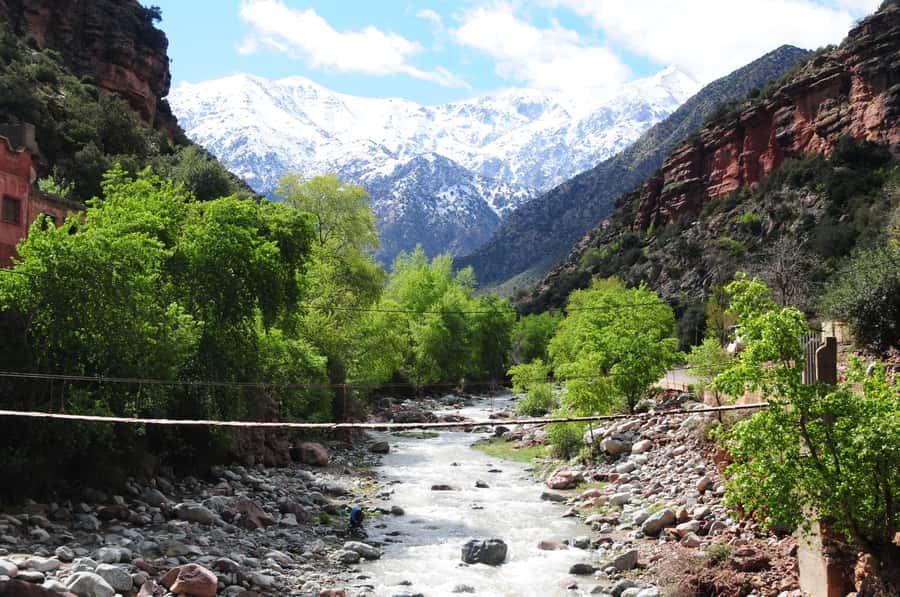 Ourika Valley with Atlas Mountains Day Trip from Marrakech - Tnin Ourika market: see Berber life in an open-air setting