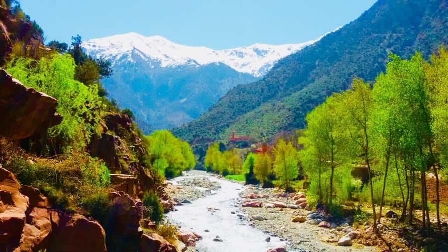 Ourika Valley with Atlas Mountains Day Trip from Marrakech - Argan oil and the Berber house stop: culture, tea, and shopping pressure