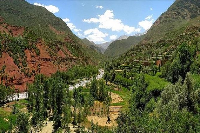 Ourika Valleys, River and Falls (Atlas Mountains Valleys) - The middle valleys: sheep, goats, argan trees, and fruit stops