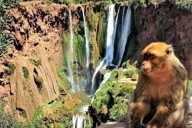 Ouzoud Falls Private Day Trip from Marrakech ( All inclusive ) - Key highlights at a glance