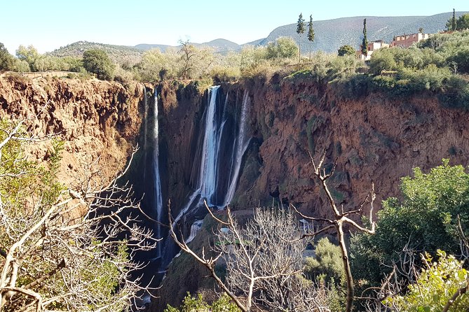 Ouzoud waterfalls day trip from Marrakech with boat trip! - Monkeys Around Ouzoud: Enjoy Them Without Turning It into a Problem
