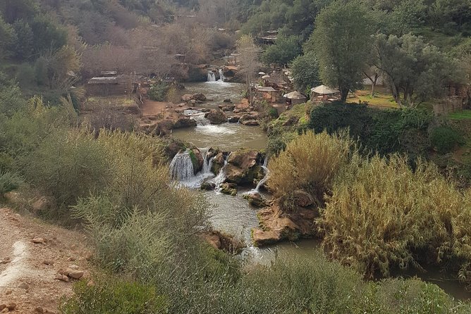 Ouzoud waterfalls day trip from Marrakech with boat trip! - Lunch on the Terrace: Views, Timing, and What You Pay For