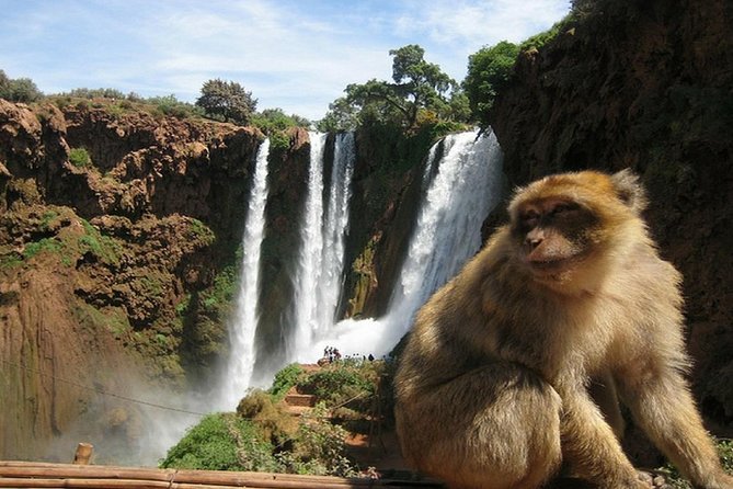 Ouzoud Waterfalls Day Trip & guided hike &boat trip - Price and logistics: what $29.45 gets you