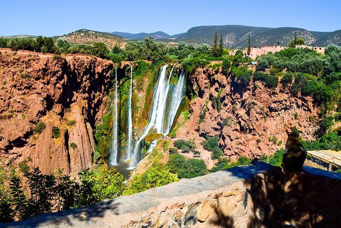 Ouzoud Waterfalls Day Trip & guided hike &boat trip - Group size and the guide effect: why names matter