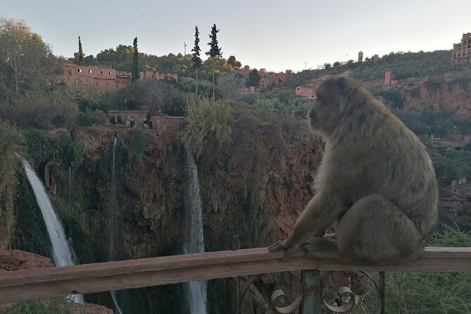 Ouzoud Waterfalls Excursions from Marrakech with boat Ride - Stop 2: Ouled Khellouf for a Coffee Break