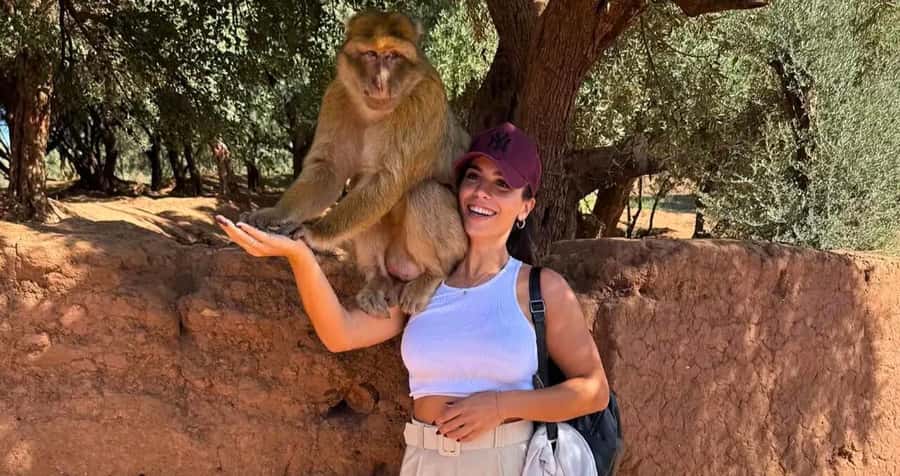 Ouzoud Waterfalls: Majestic Guided Hike and Adventure - Getting There From Marrakech: The 150 km Minibus Day