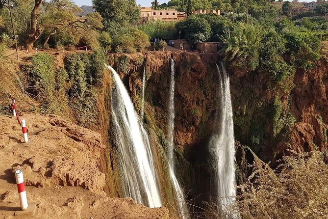 Ouzoud Waterfalls Tour From Marrakech In Group - Group size, comfort, and the long-drive trade-off