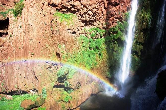 Ouzoud Waterfalls Tour From Marrakech In Group - Should you book this Ouzoud Waterfalls Tour from Marrakech?