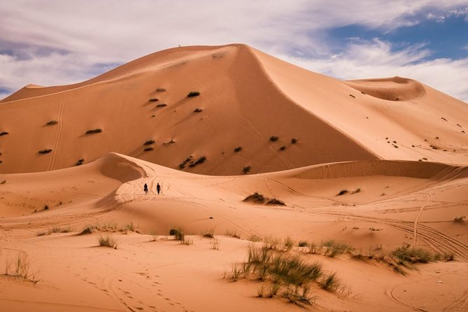 Overnight Camel trekking in Merzouga - Price and value: how $58.73 makes sense here