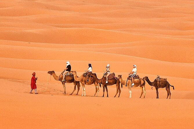 Overnight Camp Camel Trekking In Merzouga - Sandboarding at the camp
