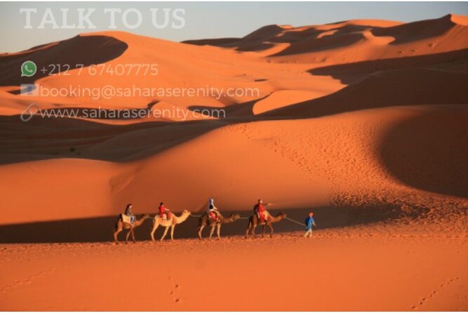 Overnight Camping in Merzouga Desert - From Ksar Bicha Hotel to the dunes at 4:00 pm
