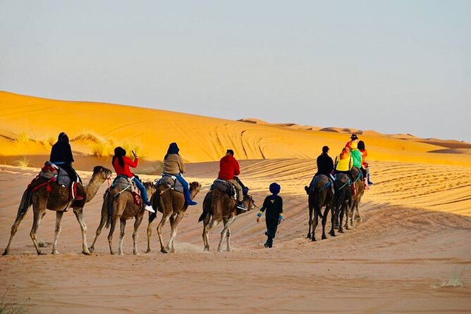 Overnight Camping in Merzouga Desert - Morning rhythm: sunrise light, breakfast, and sandboarding