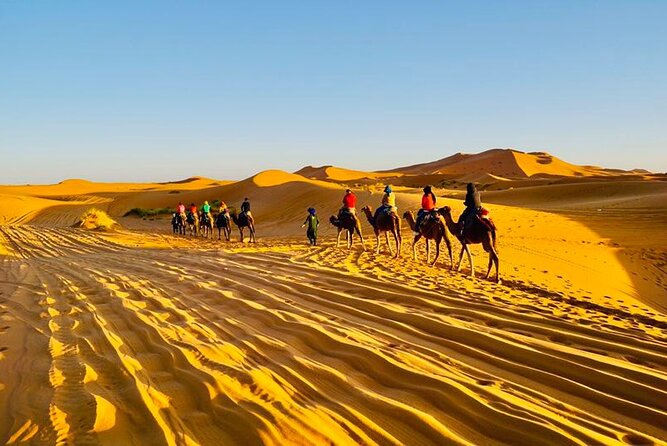 Overnight Camping in Merzouga Desert - Who should book this, and what to bring