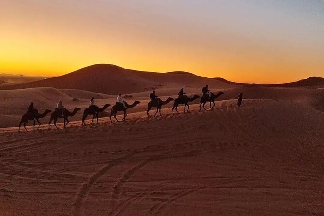 Overnight Desert Camp - Camel ride to the camp: the sunset part is the show