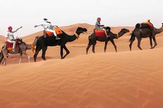 Overnight Desert Tours from Fez to Fez - Arriving in Merzouga: the camel ride and your private dune tent