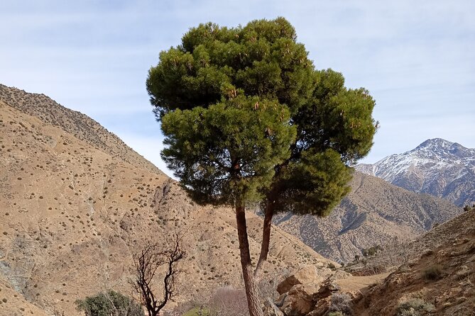 Overnight in a Berber village in the heart of the Atlas Mountains - Dinner and sleep in Aroumd: modern comfort with village atmosphere