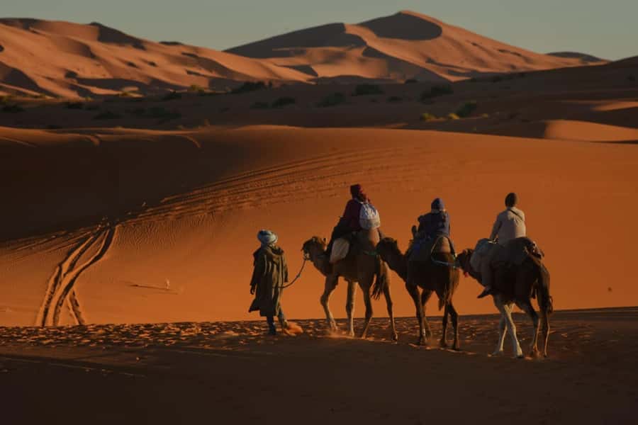 Overnight in Luxury Tent in Desert Camp Erg Chebbi Merzouga - Who this overnight camp suits best