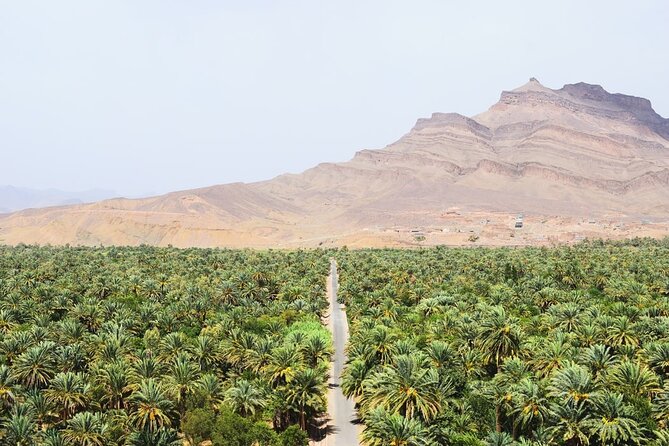 Overnight Sahara Tour from Marrakech to Mhamid - Ait Ben Haddou kasbahs: why the guided walk is worth it
