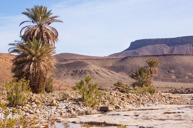 Overnight Sahara Tour from Marrakech to Mhamid - Private pickup and a small group that actually feels small