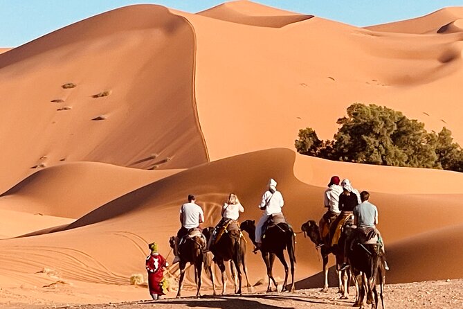 Overnight stay in desert camp & Camel trekking in the Sahara - Key Things You’ll Remember From This Merzouga Desert Camp Night